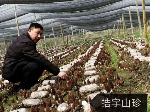 &#24320;&#20113;&#40;&#20013;&#22269;&#41;&#75;&#97;&#105;&#121;&#117;&#110;
