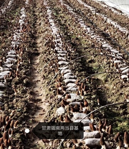 &#24320;&#20113;&#40;&#20013;&#22269;&#41;&#75;&#97;&#105;&#121;&#117;&#110;