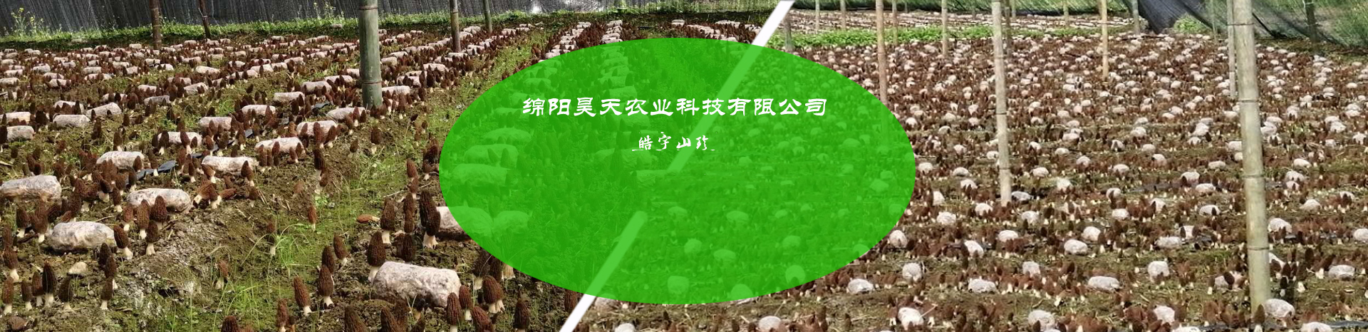 &#24320;&#20113;&#40;&#20013;&#22269;&#41;&#75;&#97;&#105;&#121;&#117;&#110;